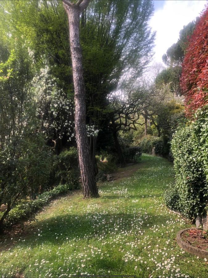 Il Pioppo Antico Apartment Viggiu Exterior photo